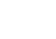 The danes grey logo