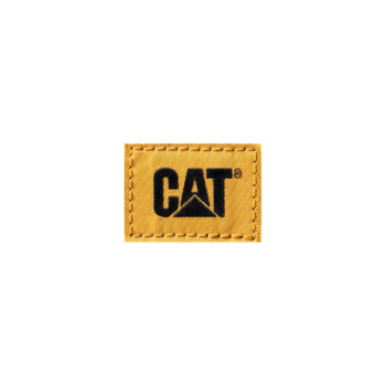 Cat Color Logo